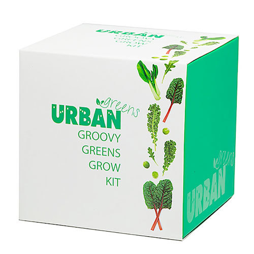 Everything_but_Flowers_Urban Greens Groovy Greens Grow Kit