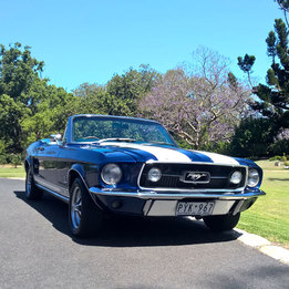 Classic Mustang GT 350 Joy Ride for up to 3 people, SYD