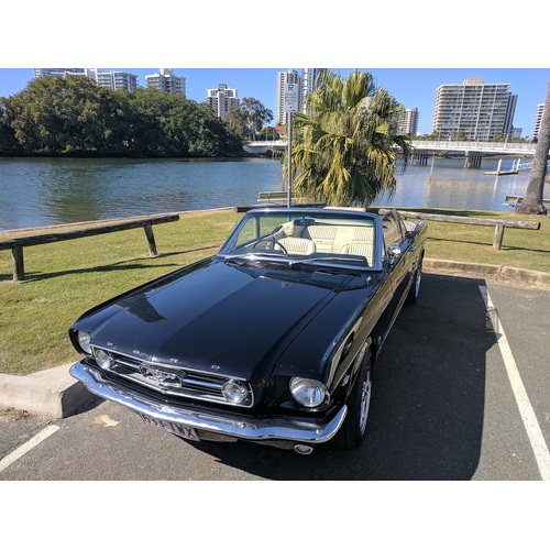 Everything_but_Flowers_Mustang Joy Ride, Six Bridges of Sydney